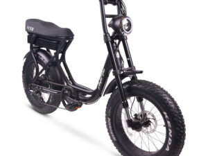 ACE-S PLUS+ ELECTRIC BIKE