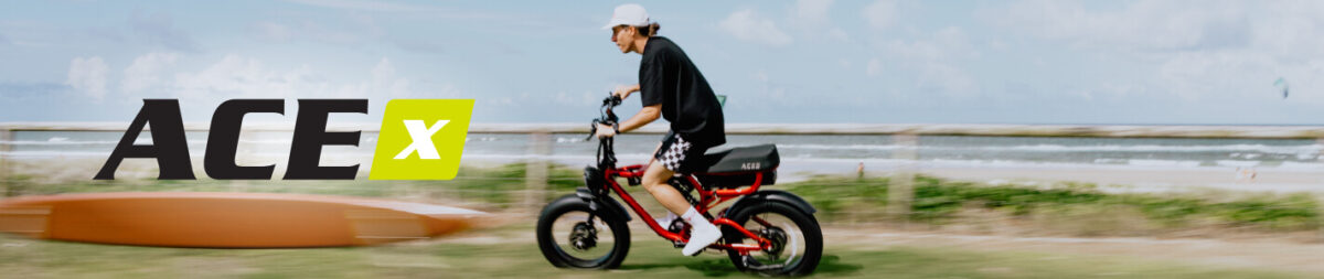 ACE-X DEMON MKII DUAL MOTOR ELECTRIC BIKE hero