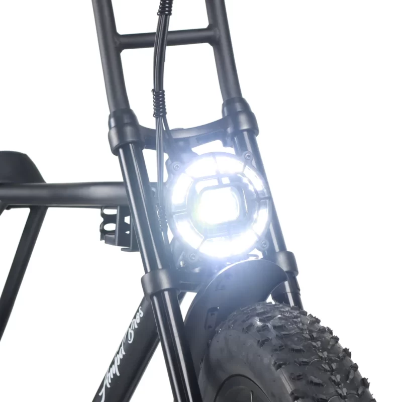 ACE-X DEMON MKII DUAL MOTOR ELECTRIC BIKE lmage 5
