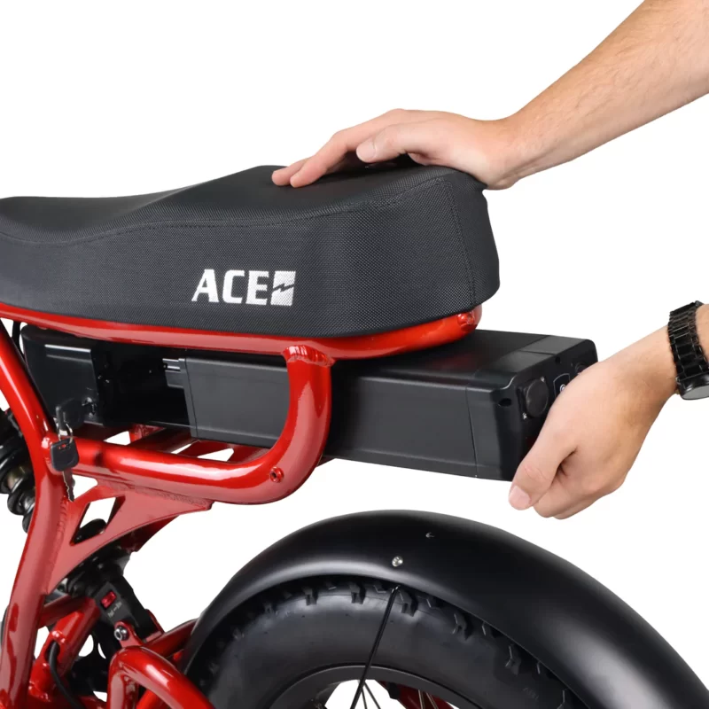 ACE-X DEMON MKII DUAL MOTOR ELECTRIC BIKE lmage 2