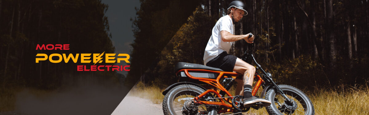 ACE-X DEMON MKII DUAL MOTOR ELECTRIC BIKE lmage banner